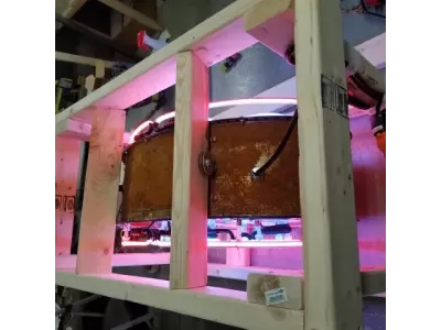 New STP Double-Sided Porcelain Neon Sign 30"W x 20"H