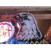 New Case Eagle Porcelain Neon Sign 32"W x 72"H